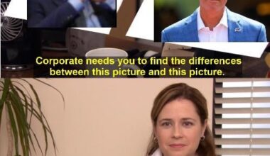 Buffalo Sports Terrorists