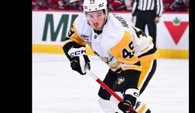[Penguins] The Penguins have recalled forward Rafael Harvey-Pinard from the WBS Penguins (AHL).