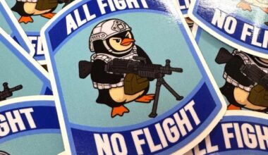 All Fight, No Flight