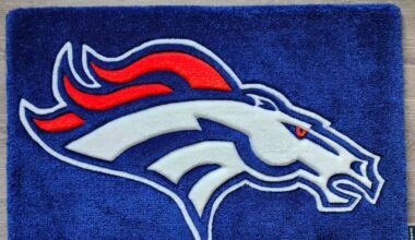 Let's go Broncos! Rug I made!