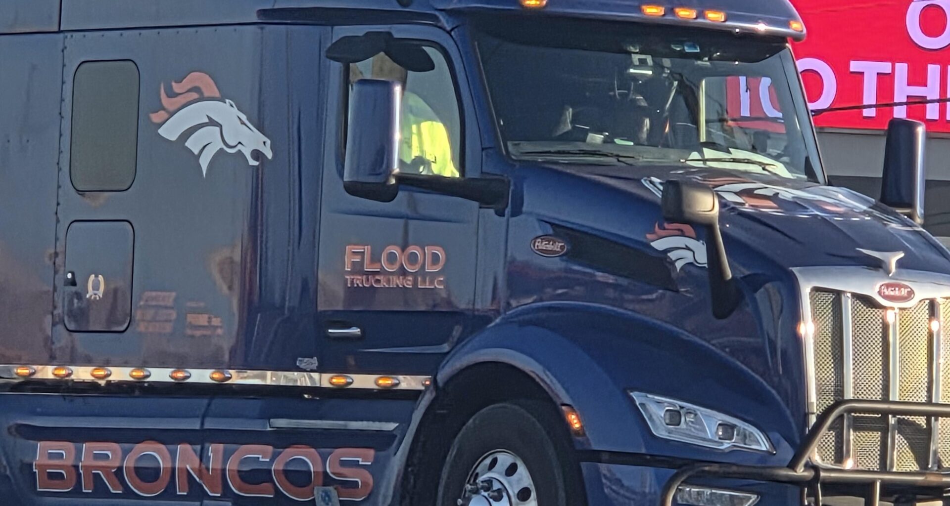 Saw this guy in North Georgia.