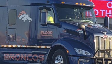 Saw this guy in North Georgia.