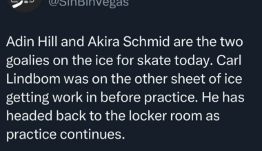 Goaltending Update (of sorts)