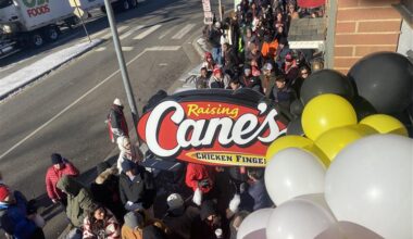 So, it has finally happened - Canesception is upon us!