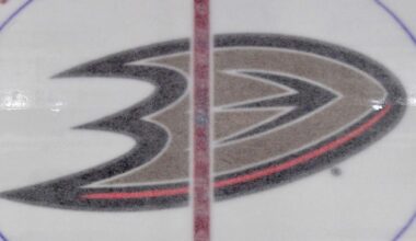 Former employee files lawsuit against Ducks, NHL
