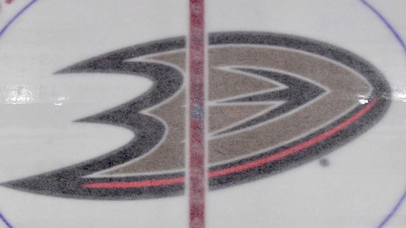 Former employee files lawsuit against Ducks, NHL