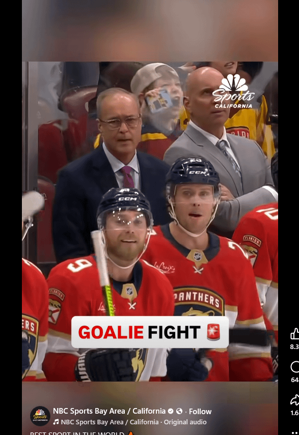 POV: you're a coach trying not to smile about the goalie fight because the team is losing the game