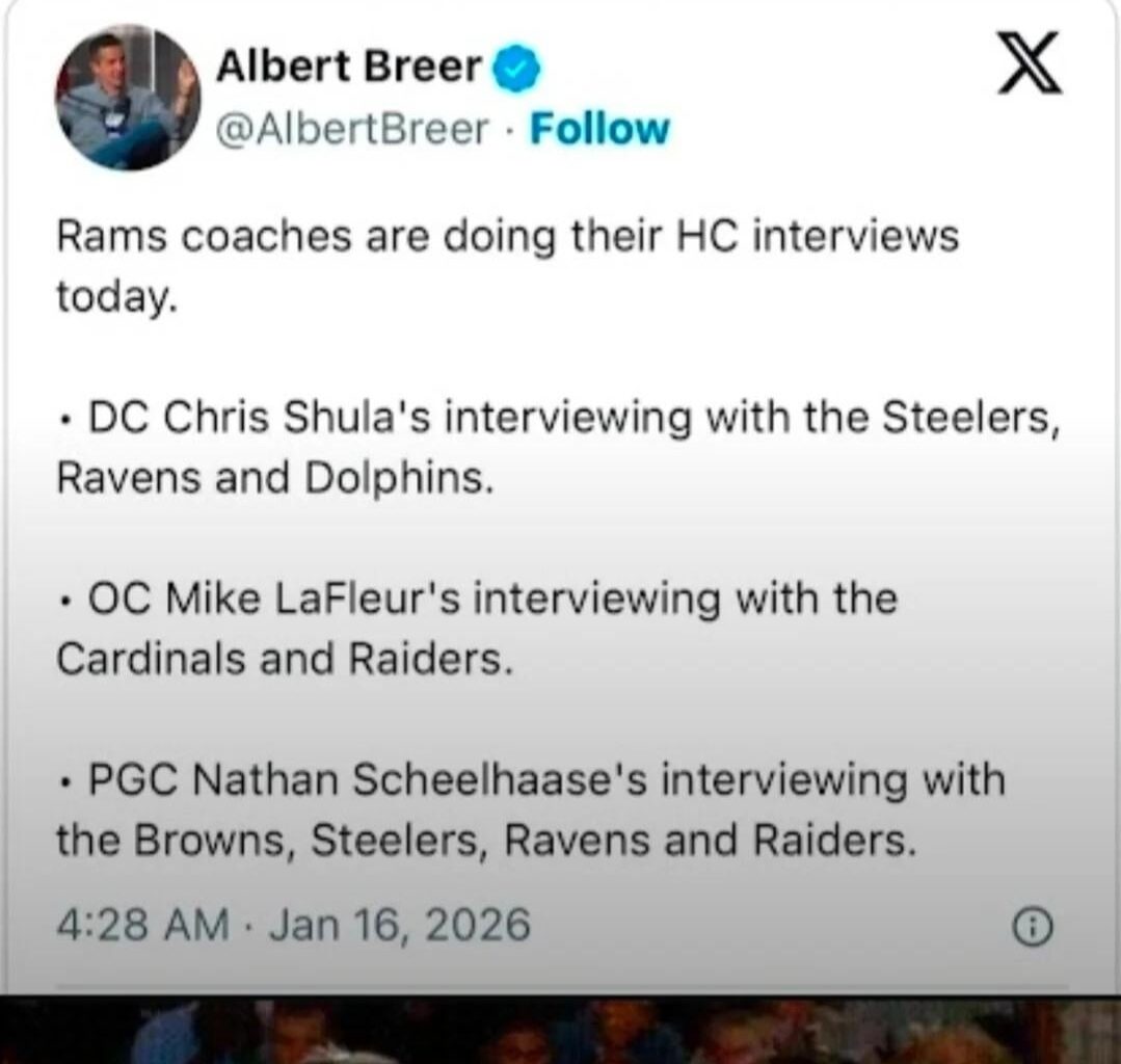 Bold Strategy Lambs...