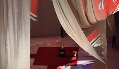 I wonder what is hiding behind the curtain?