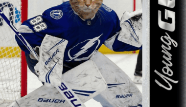 A fellow Redditor made this for me with a couple reference photos of my cat, Andrei. Thought y'all would appreciate!