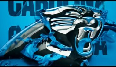 Carolina Panthers In Good Hands!!!