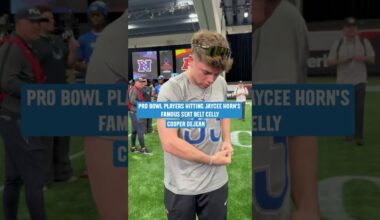 Seat belt celly is universal