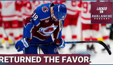 Red Wings Return the Favor and Shutout the Avalanche