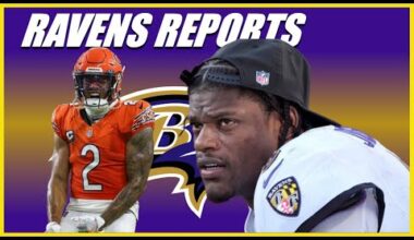 MORE WILD NEWS for Baltimore Ravens...
