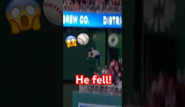 POV: Nationals Fan Launched Onto the Field 😱⚾