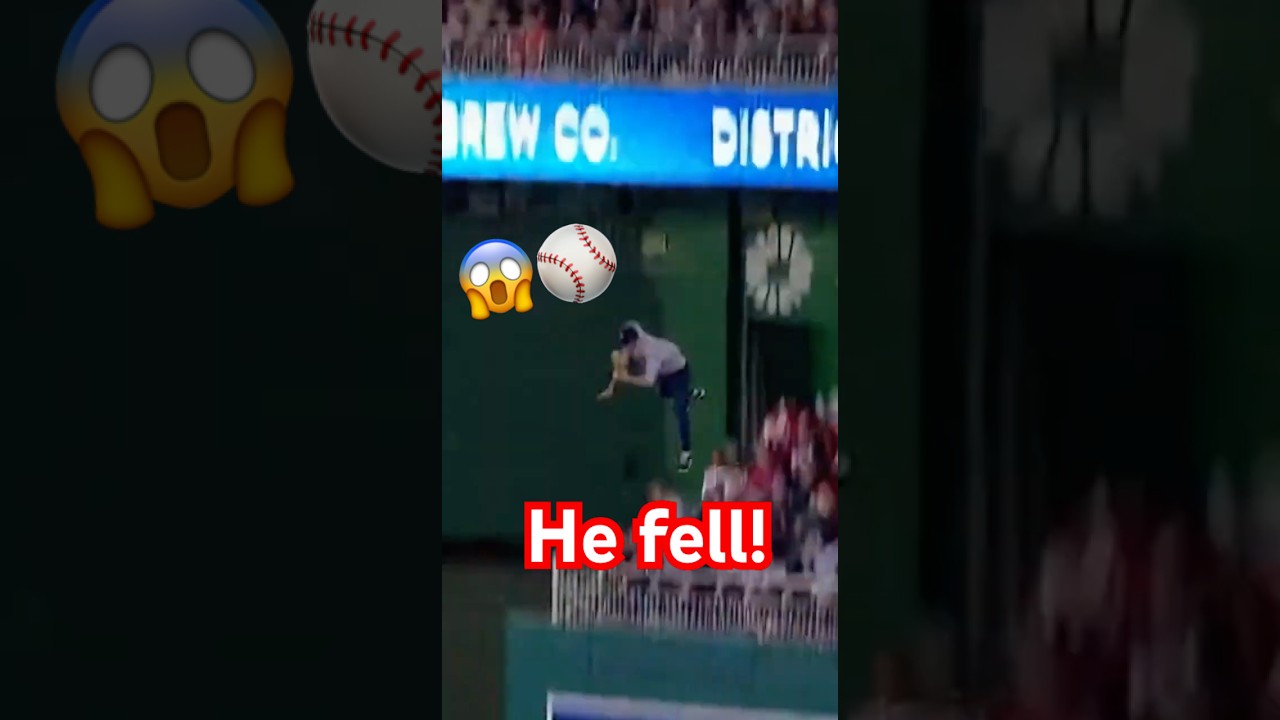 POV: Nationals Fan Launched Onto the Field 😱⚾
