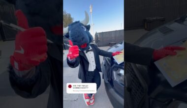 signed, sealed, delivered ✅ #houstontexans #nfl #mascot #marriage #wedding