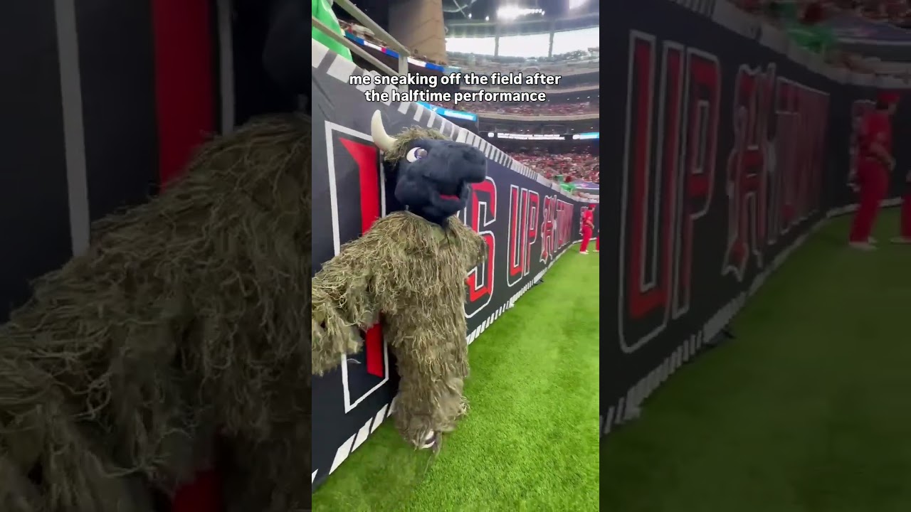 halftime guest performer ✅ #houstontexans #nfl #mascot #superbowl #halftime