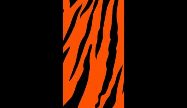 2.12 Bengals - Downs Social