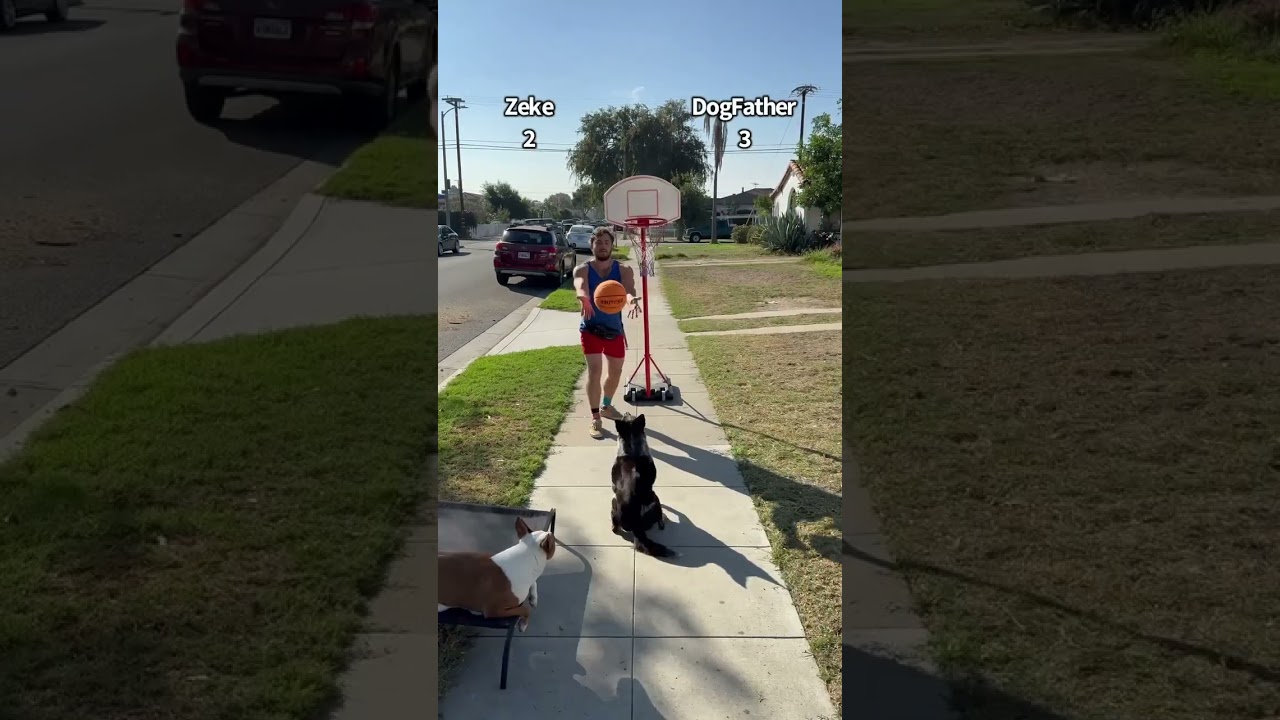 Should this dog get a 10-day contract? 👀 (via dogfather360/IG)