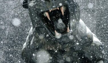 Panthers social media giving us a glimpse of the Bank under the snow!