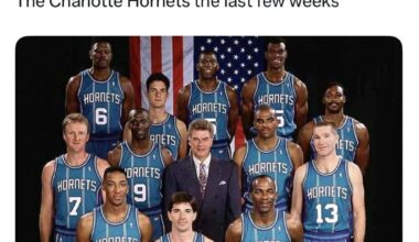 Dream Hornets