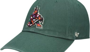 Wanting to buy this ha if anyone has it. Name your price!