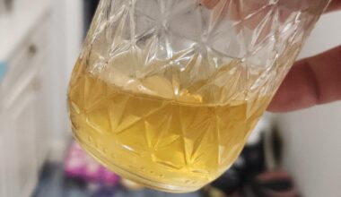 All Malort Italian Beef: Bread Day