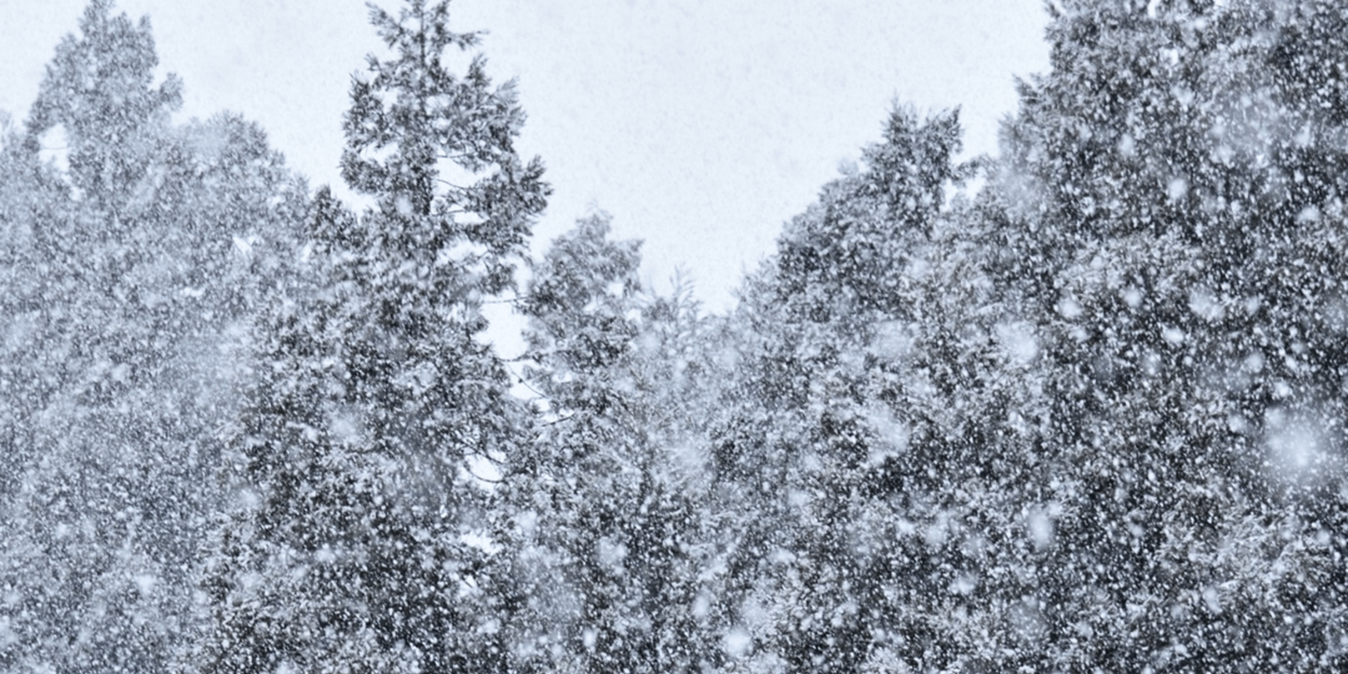 JC Latham & Titans Foundation are teaming up to support the Winter Storm Recovery Fund, assisting families affected by Winter Storm Fern