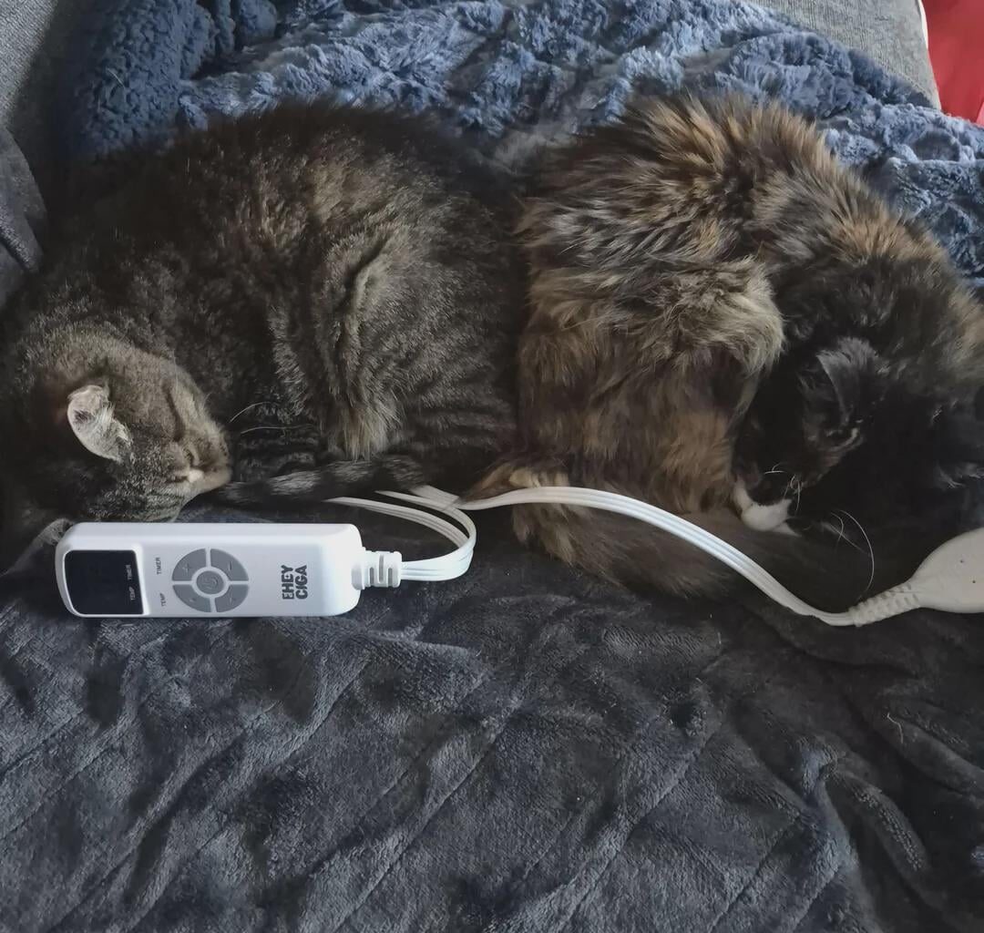 Flames (22-26-6) vs Leafs (25-21-9) - February 2nd - GDT