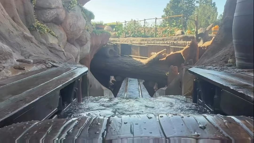 JT Brown and Piper go to Disneyland