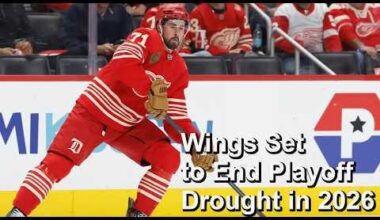 The Hockey Guy - Yzerplan Seeing Positive Results This Season