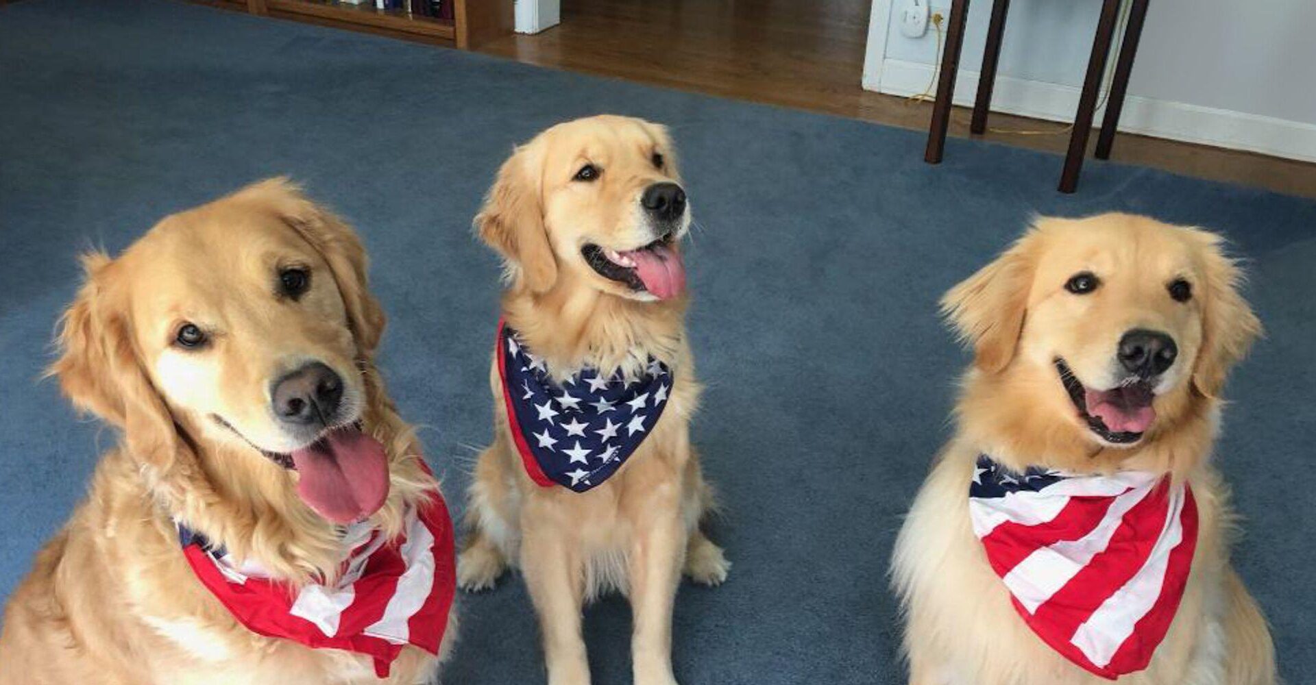 MLB Pipeline AMA! MLB.com writers Jim Callis, Jonathan Mayo, and Sam Dykstra are here to answer your prospect questions at 2:30pm ET