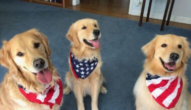 MLB Pipeline AMA! MLB.com writers Jim Callis, Jonathan Mayo, and Sam Dykstra are here to answer your prospect questions at 2:30pm ET