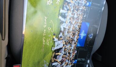 Newly WS Project (wish me luck)