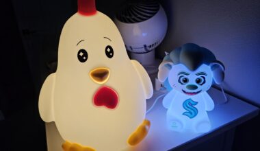 My daughter's naptime protectors