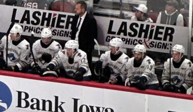 Otter Spotted In DSM!