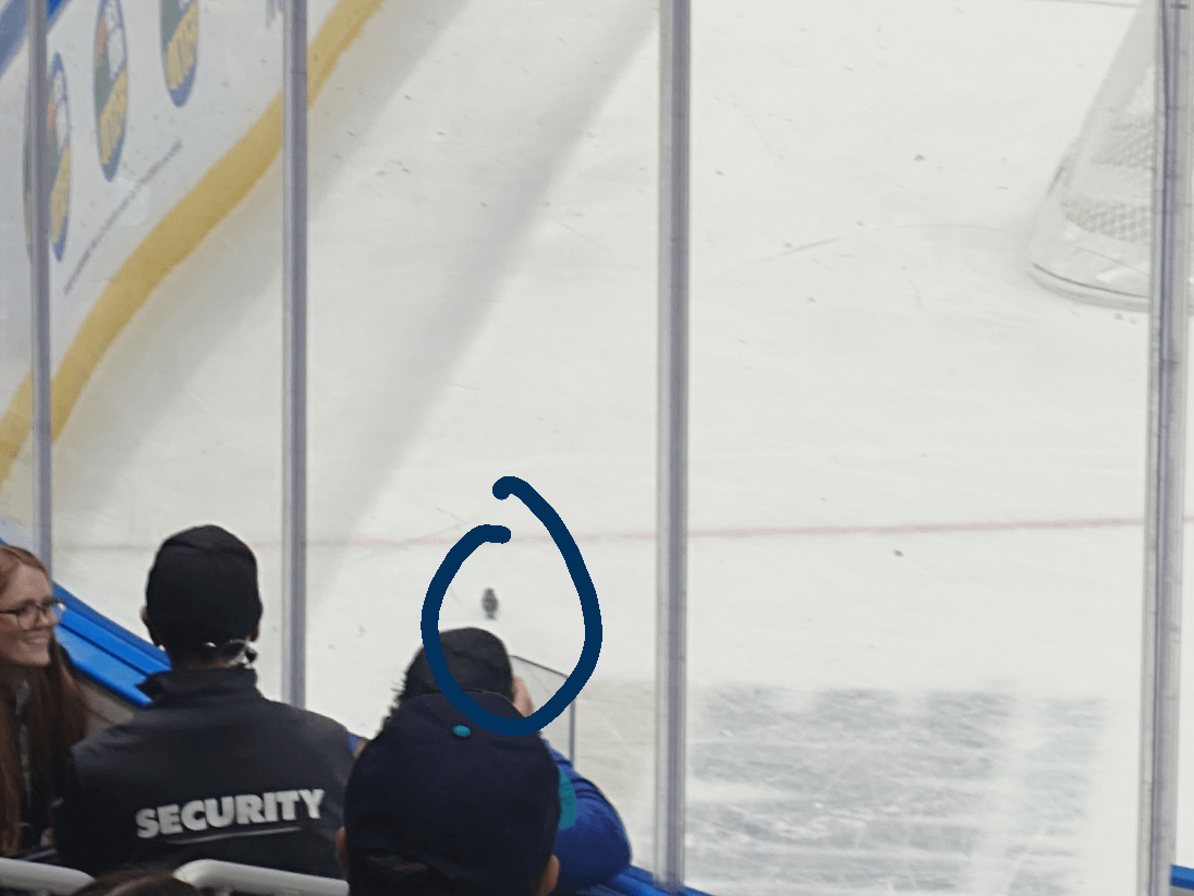 MY FAVORITE ISLES PLAYER! THE SPARROW!!!