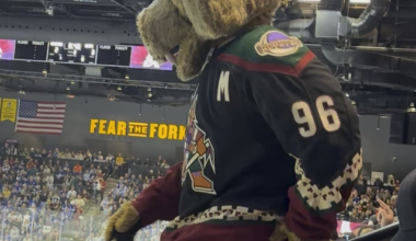 Just a few seconds of Howler at one of the Yotes’ final games here (vs Leafs). He’s so cute 🥺