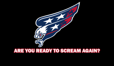 Screaming Eagle Remix Rebrand Concept
