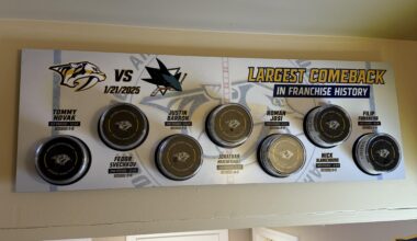 Hung this up Sunday…the boys said we can do that again on Monday!