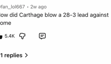 The falcons weren't the first