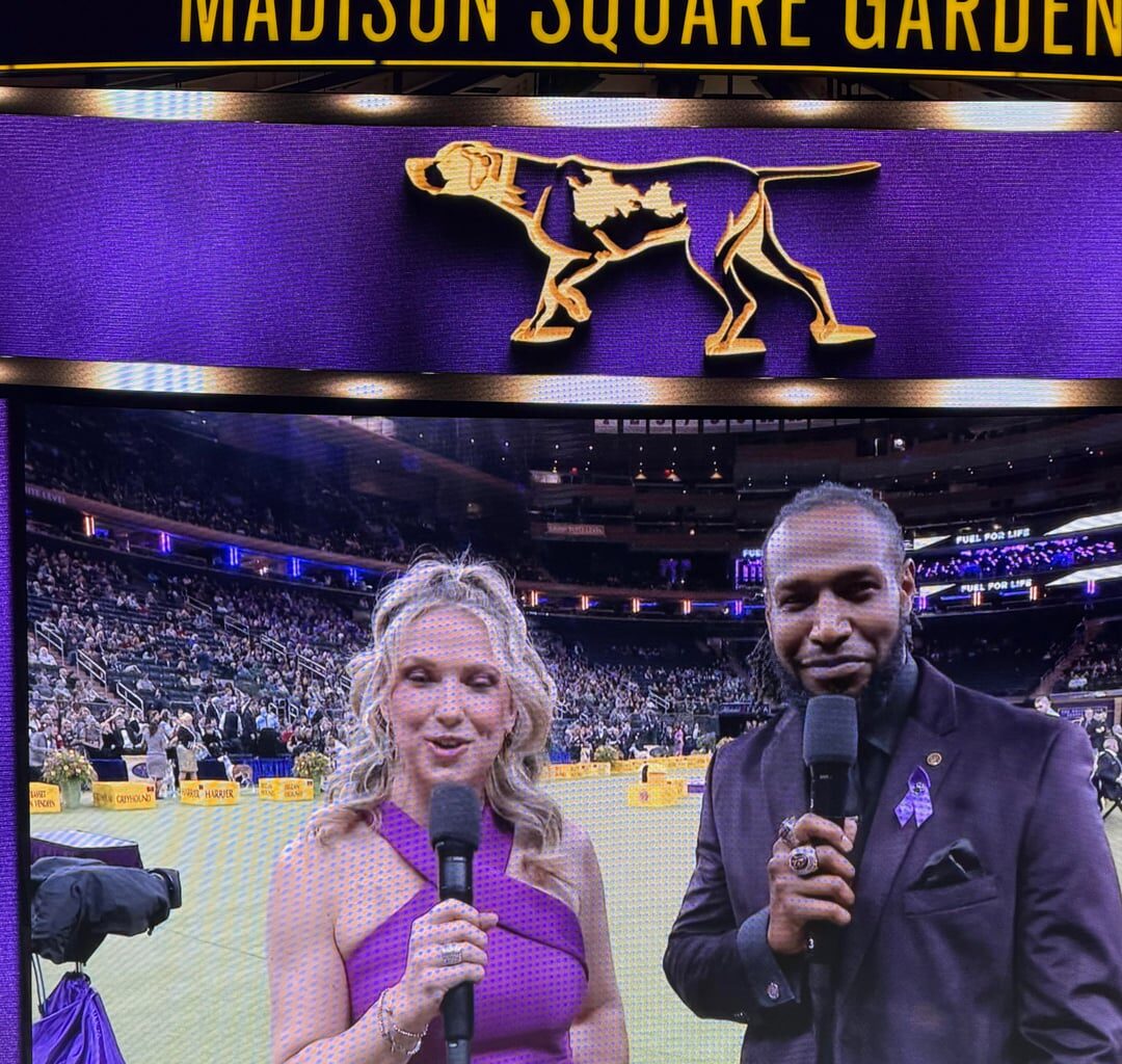 Seeing Eirka was a nice surprise