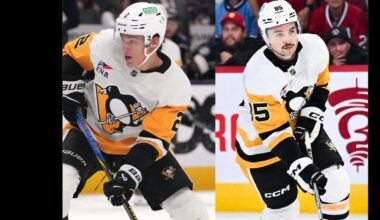 [Penguins] Forwards Avery Hayes and Rutger McGroarty have been re-assigned to the WBS Penguins (AHL).