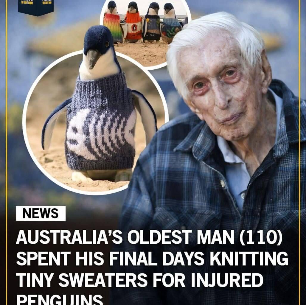 those penguins must be soo happy rn