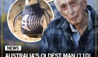 those penguins must be soo happy rn