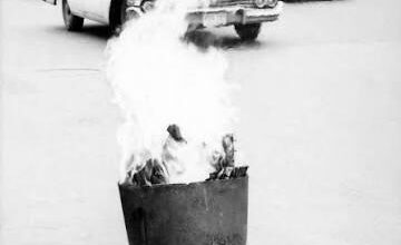 Day 19 of me posting pictures of trash fires until the Kings fire Jim Hiller