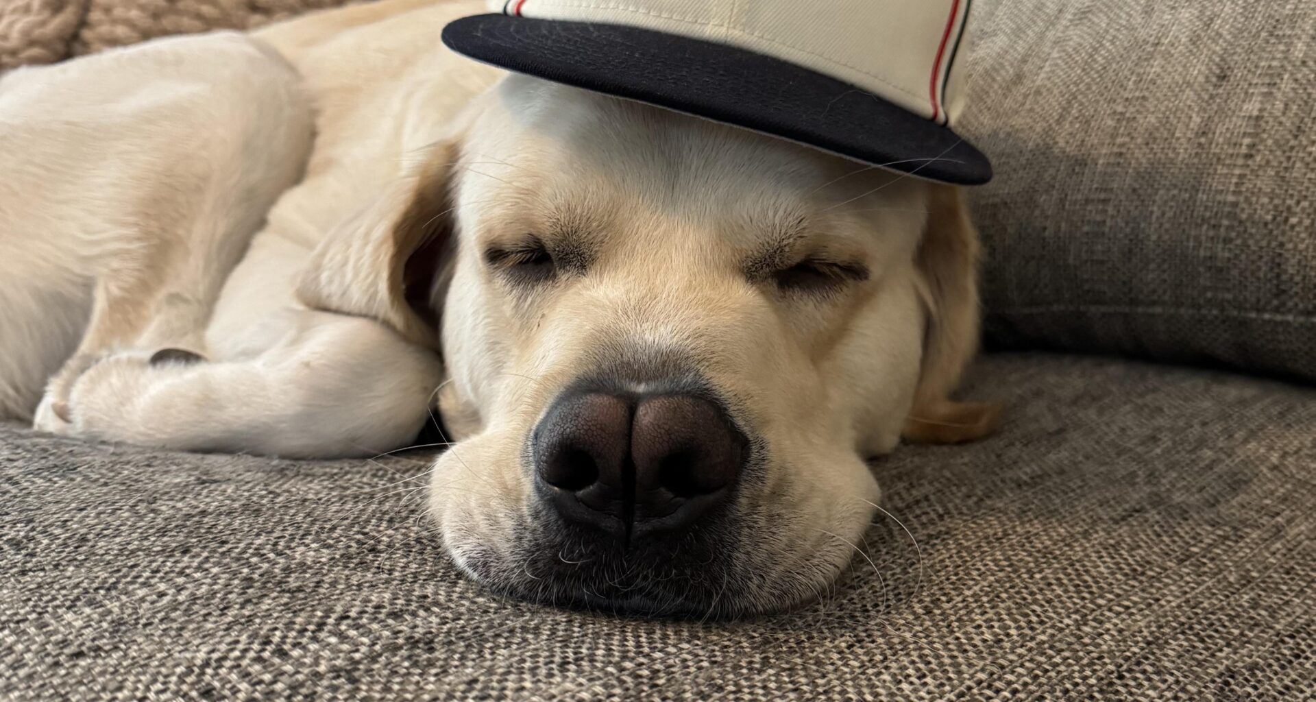 One last nap before spring training…