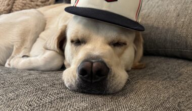 One last nap before spring training…