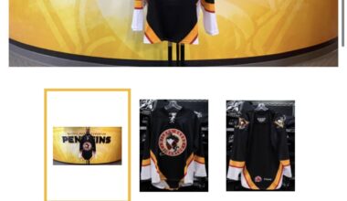 Do you guys think this is worth having?